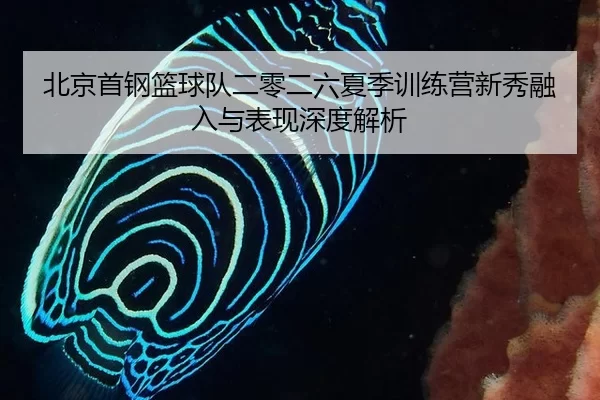 北京首钢篮球队二零二六夏季训练营新秀融入与表现深度解析