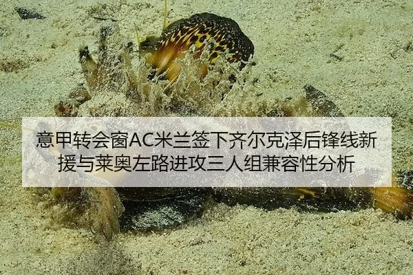 yi-jia-zhuan-hui-chuang-mi-lan-qian-xia-qi-er-ke-ze-hou-feng-xian-xin-yuan-yu-lai-ao-zuo-lu-jin-gong-san-ren-zu-jian-2-374.jpg